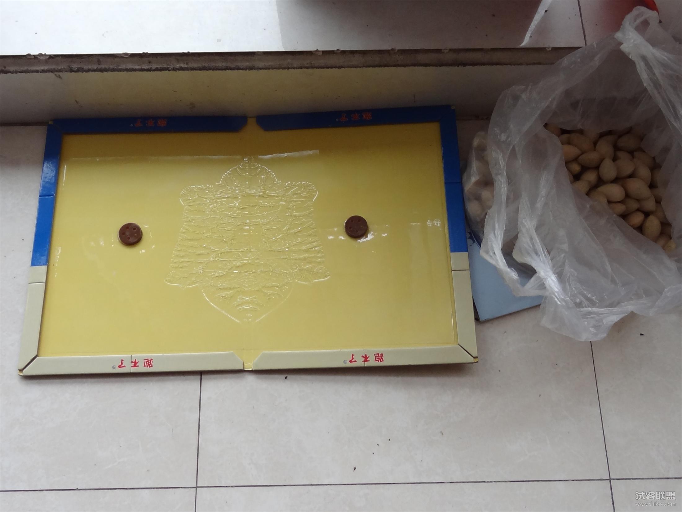 仓鼠越狱了怎么办?不怕四个妙招助你寻回它