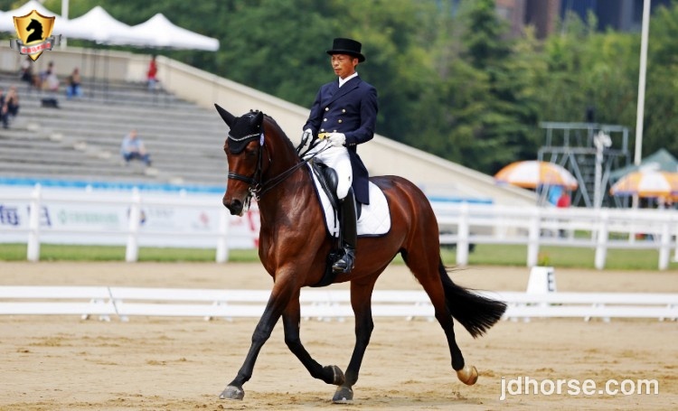 全运会马术盛装舞步个人决赛赛况,14届全运会盛装舞步