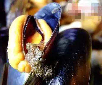 烟台人炫富方式,烟台开海炫富是真的吗