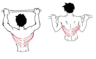 练背练肩颈真的可以瘦背吗,练背可以改善脊椎两侧肌肉吗