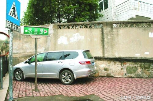 出土大明成化年制瓷器,馆藏大明弘治年制瓷器