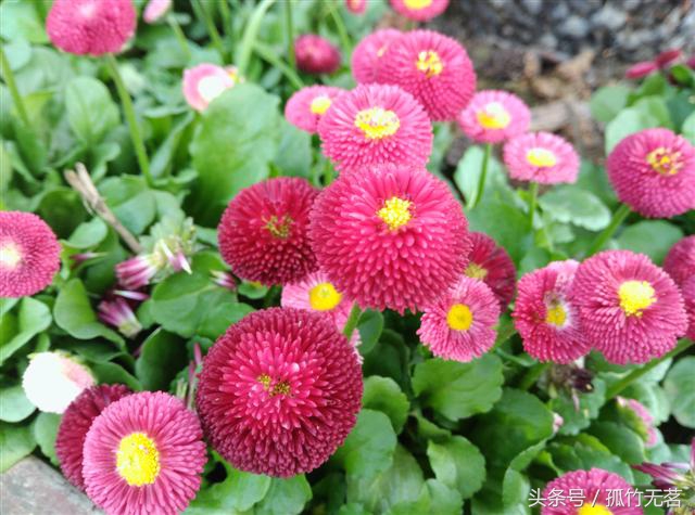 纽曼纽扣gps准吗,纽曼纽扣手机测评