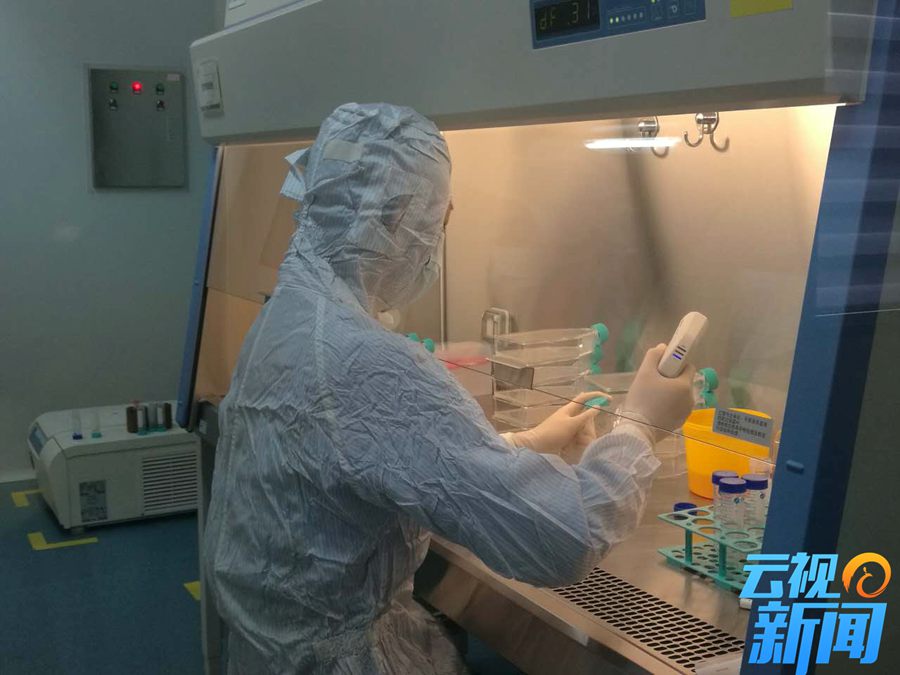 干细胞研究新成果,我国干细胞抗衰老研究获重大突破