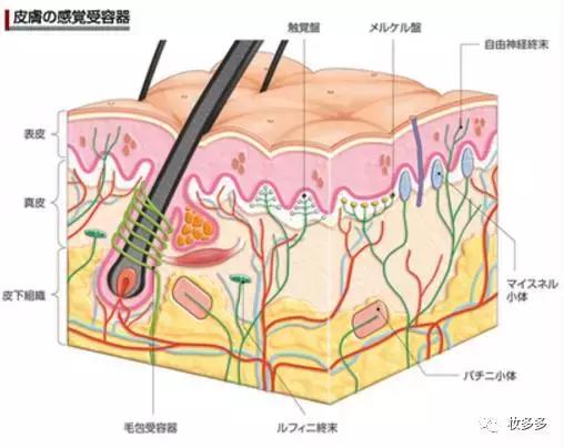 瘦脸针能解决发腮吗,瘦脸针影响发育吗