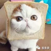 瘦脸针能解决发腮吗,瘦脸针影响发育吗