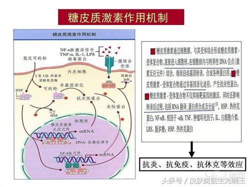 白癜风发病早期有什么手段能控制,对白癜风最有效的治疗