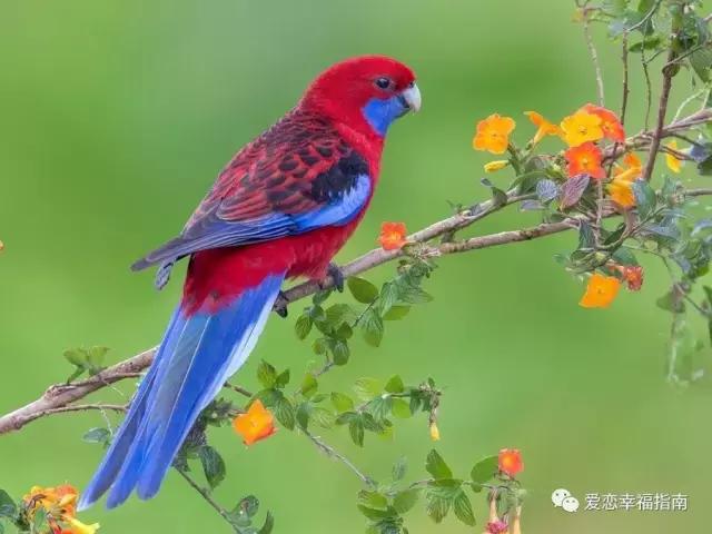 没断奶的男朋友,没断奶的爸宝男