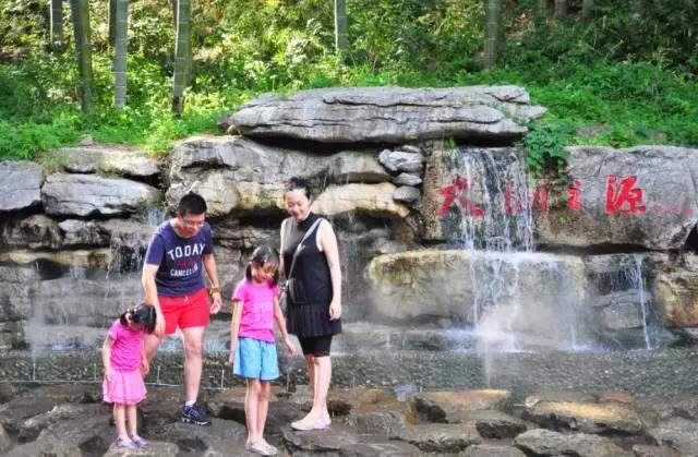 治愈系竹林风景唯美意境,治愈系风景大自然竹林