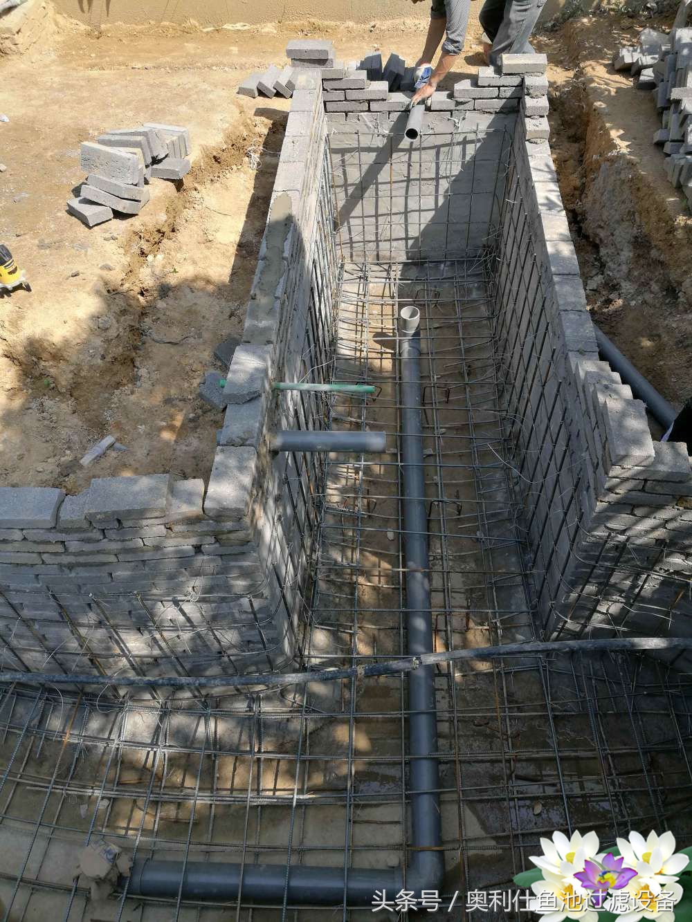 10吨小鱼池的完美养成记