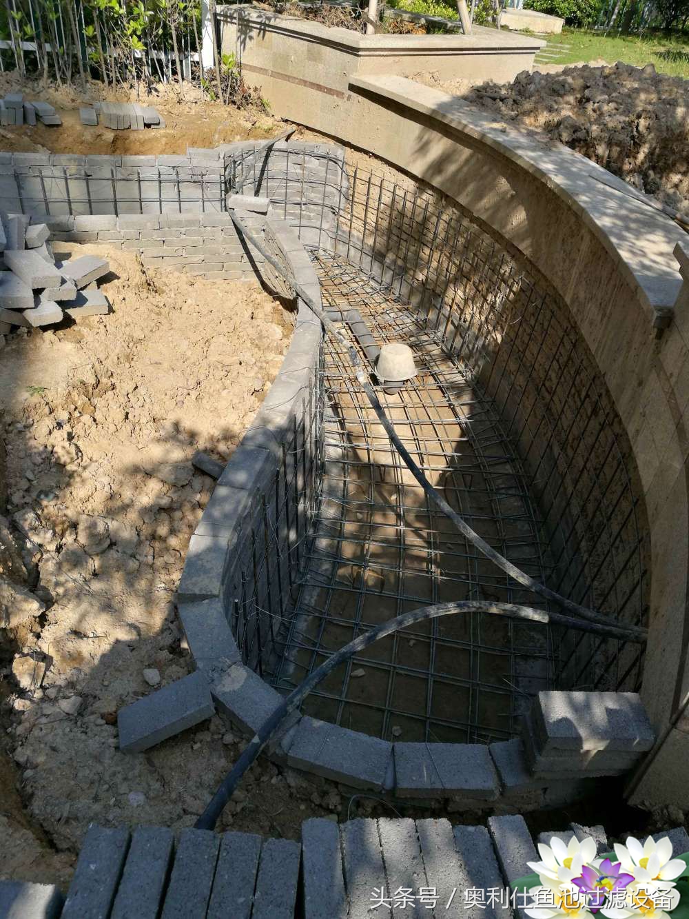 10吨小鱼池的完美养成记