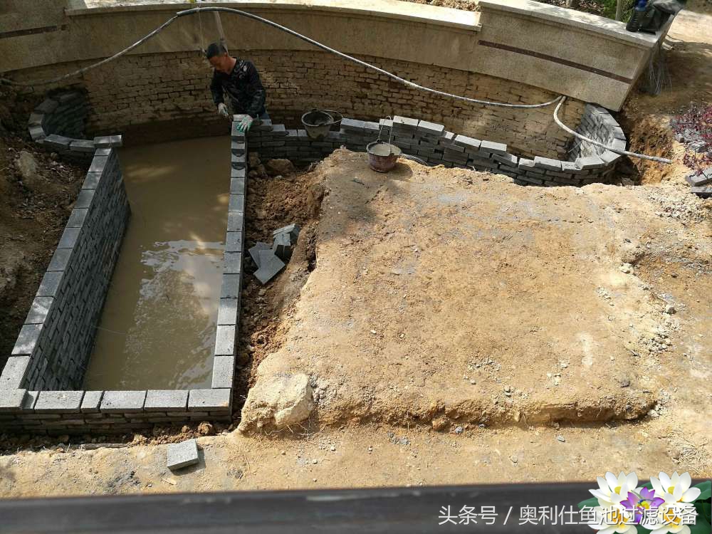 10吨小鱼池的完美养成记