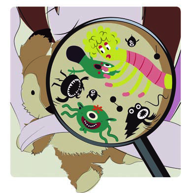 被你忽视的日常居家过敏原：螨虫