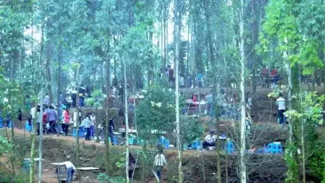 成都赏红叶的公园,成都赏秋色最好的地方