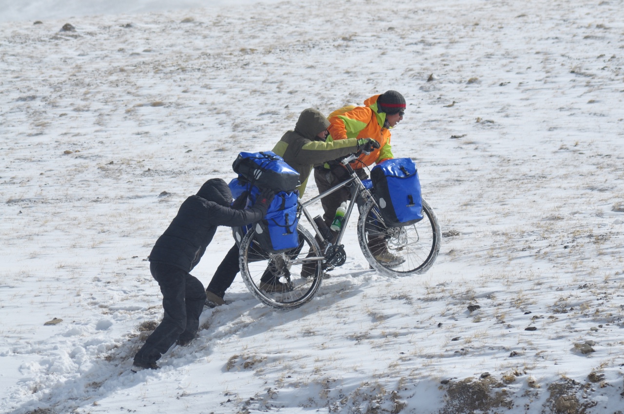 想要问问你敢不敢女版,想要问问你敢不敢女生版