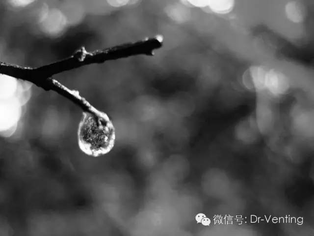 马航mh370最终报告结果,马航370上的2吨货物