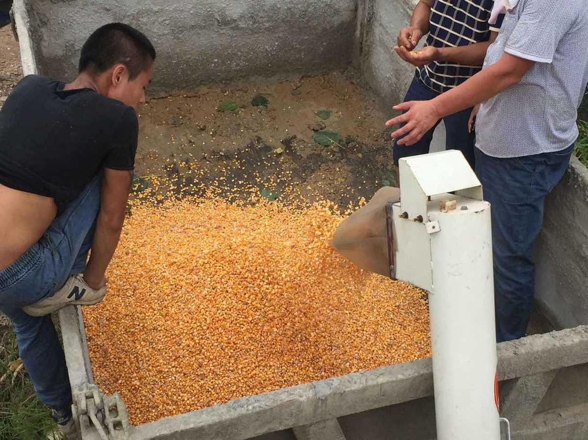 家家乐玉米割台口碑,2022款家家乐玉米收割机割台