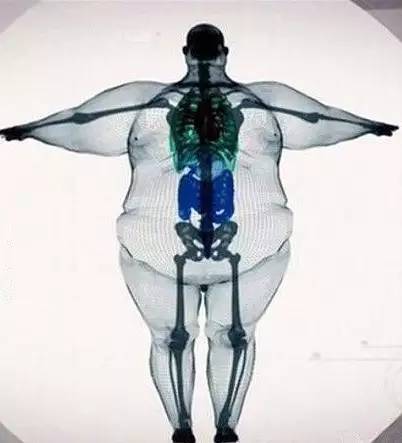 医生总结的十个健康忠告,女性健康六大忠告内容有哪些