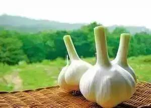 喝大蒜水对身体健康有没有好处,如何食用大蒜更有利于健康