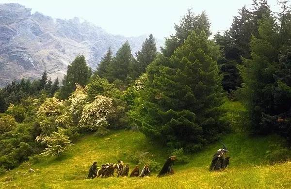 一部看完让人很向往的电影,一起来聊聊那些年你最爱的电影