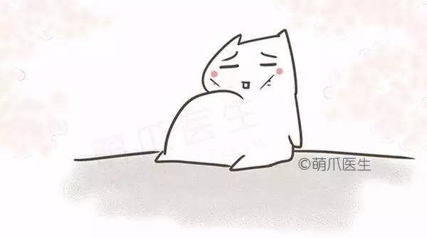 全篇干货！宠物腹泻的原因和对策