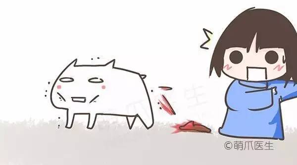 全篇干货！宠物腹泻的原因和对策