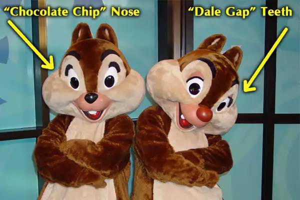 去美国迪士尼打工怎么样,在迪士尼工作的日常生活