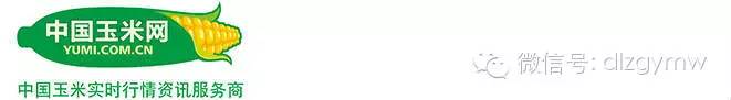 玉米价格及利润最新行情走势分析,深加工玉米价格最新行情
