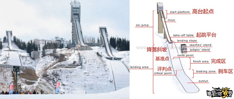 飞鹰艾迪是什么,真实飞鹰艾迪原型