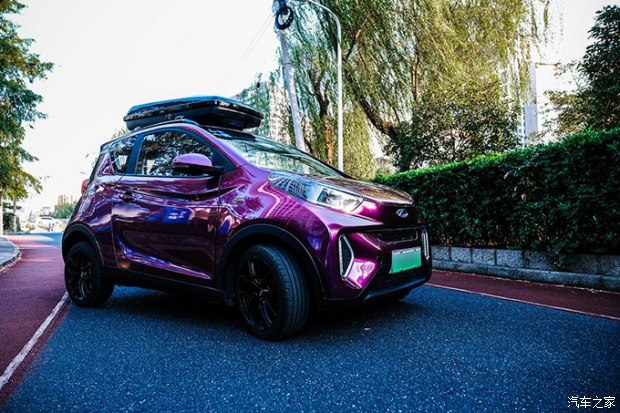 小蚂蚁进化变异,小蚂蚁变魔术