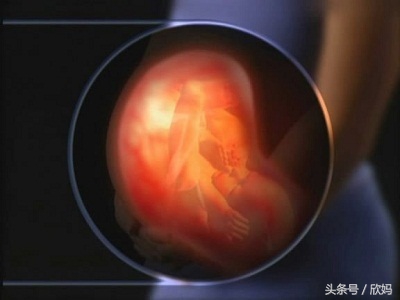 妈妈知道宝宝在肚子里,胎宝宝在肚子里的发育