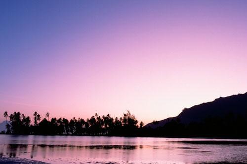 想怎样疯就怎样疯,疯就疯吧笨就笨吧文案