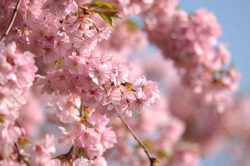 想怎样疯就怎样疯,疯就疯吧笨就笨吧文案