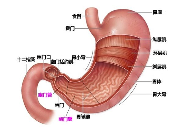 酒后胃出血简单处理方式,酒后胃出血快速解决方法