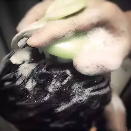 明星推荐的檀木梳子,最新款超级好用的梳子