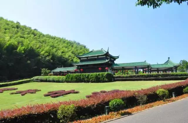 治愈系竹林风景唯美意境,治愈系风景大自然竹林