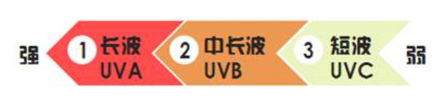肌肤美白最佳方案,关于肌肤美白有哪些小常识