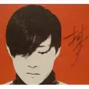 他用3000首词曲，熬守一个金山词霸的故事