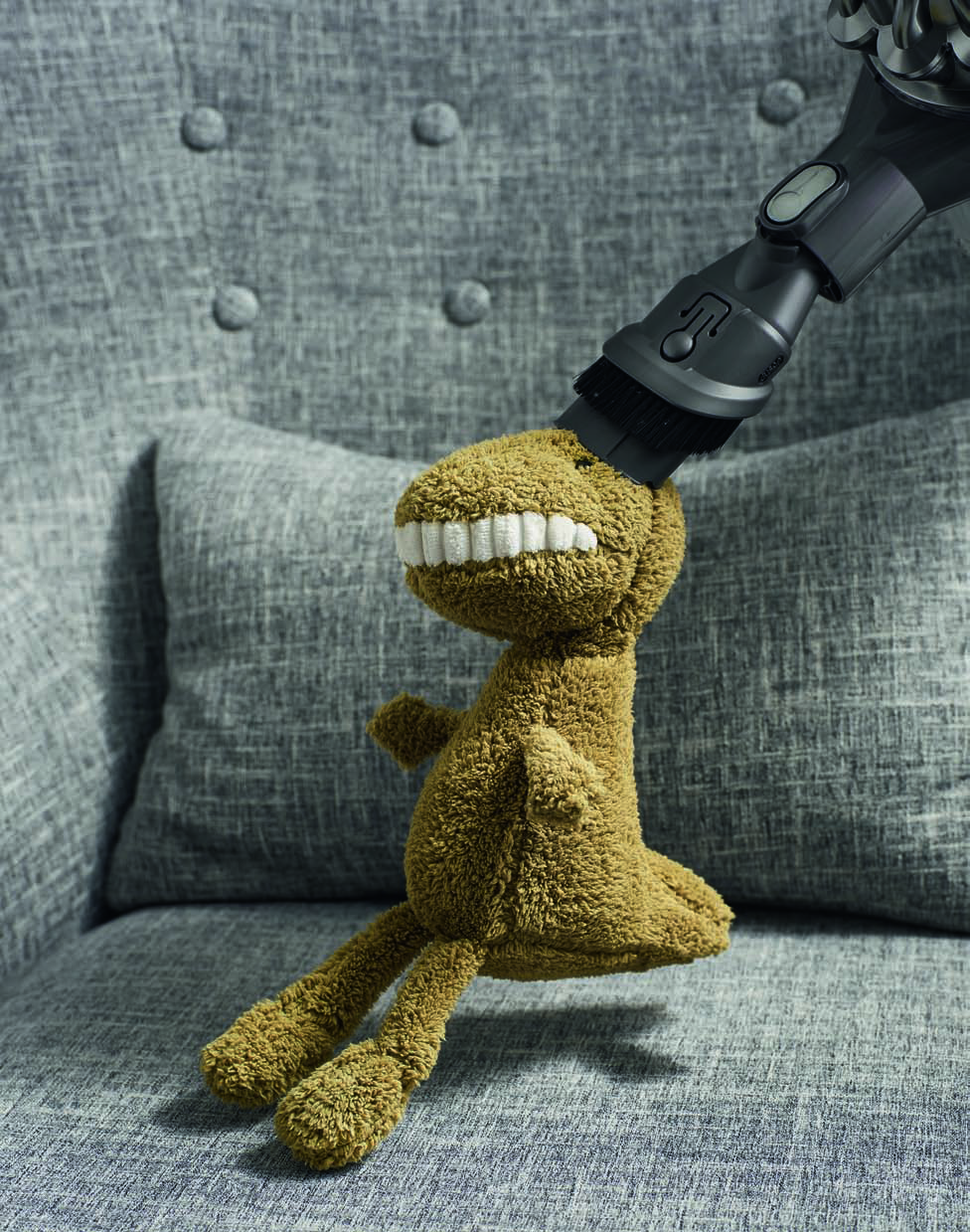 被你忽视的日常居家过敏原：螨虫