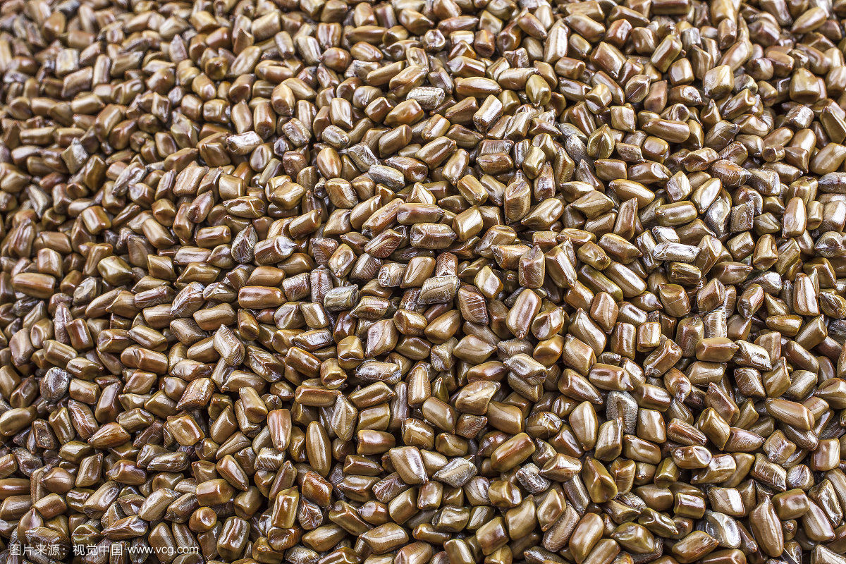 六种中药配方轻松瘦身建议收藏,六味中药减肥效果惊人