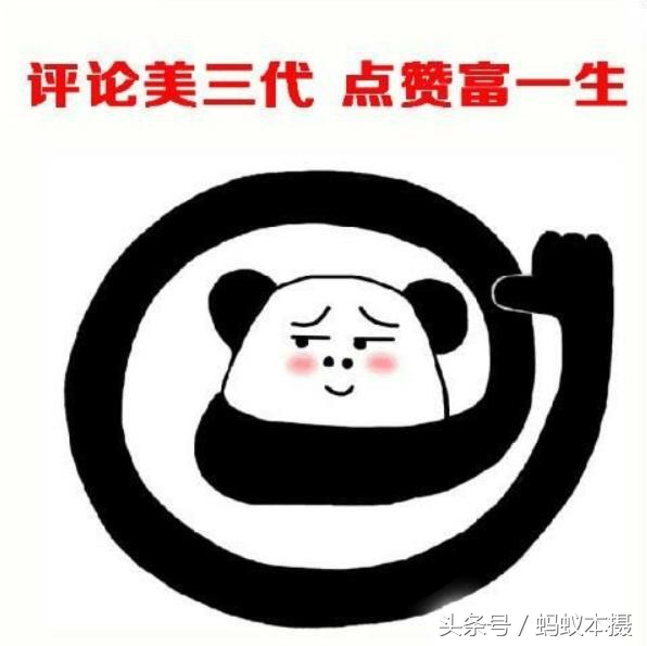 摄影器材行话,摄影器材专业术语