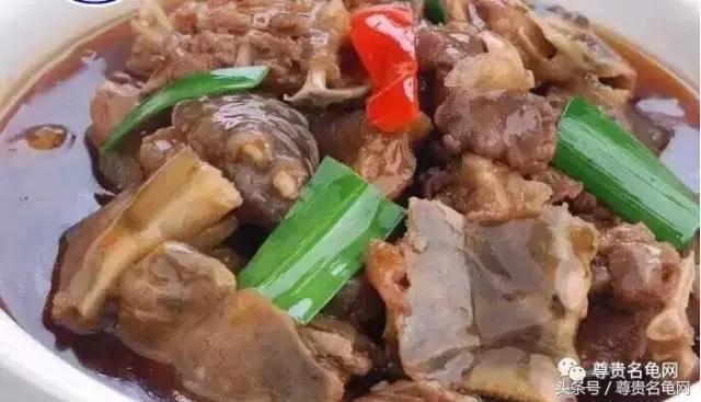 窄桥龟一出来就会咬人,几厘米长的龟会咬人