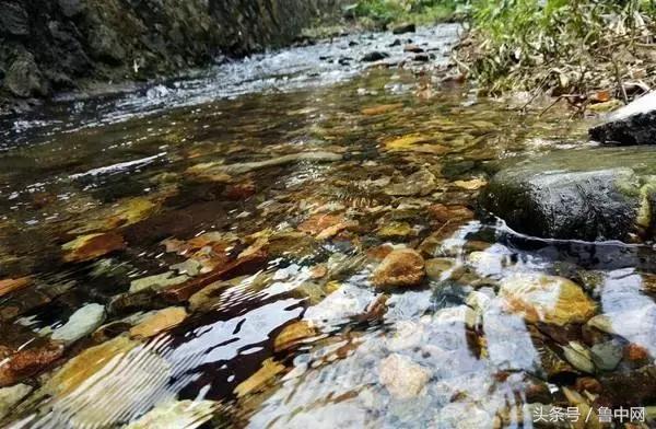 为什么要定居省会城市,为什么定居淄博