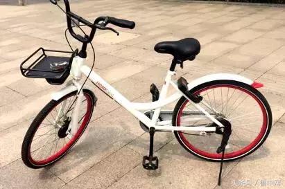 为什么要定居省会城市,为什么定居淄博