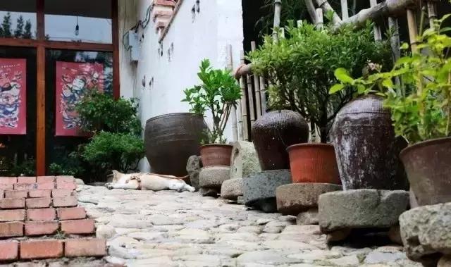 台州天台国清寺民宿最全攻略,浙江台州发现艺家民宿