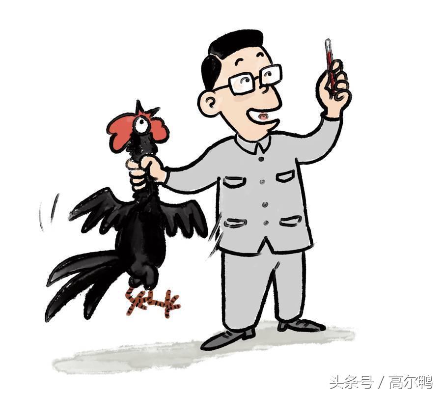 打鸡血是哪一年的事,1967年打鸡血是如何风靡全国的