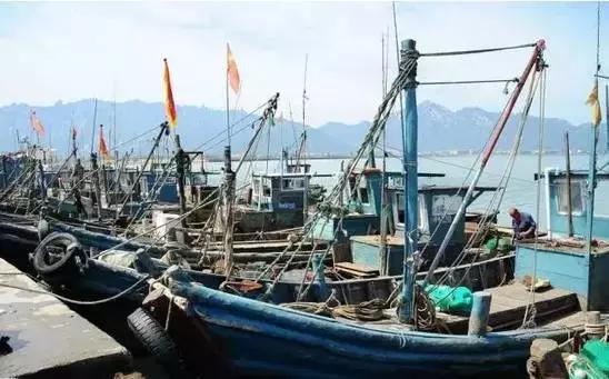 烟台人炫富方式,烟台开海炫富是真的吗