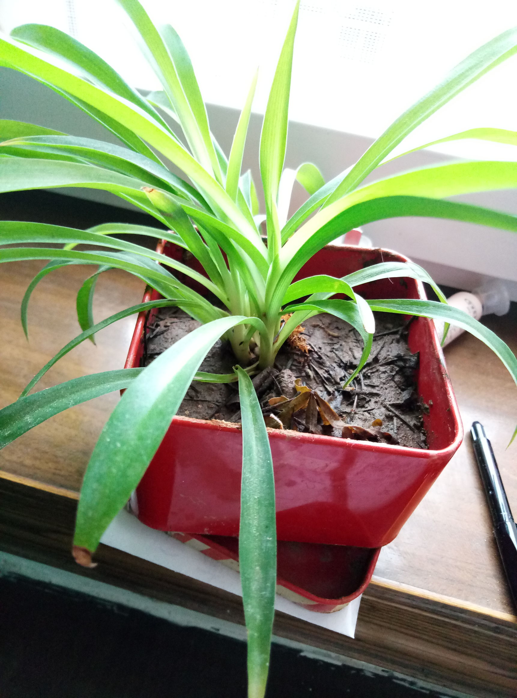 花器制作篇,用什么来制作花器