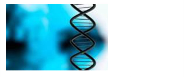 肌肤美白最佳方案,关于肌肤美白有哪些小常识