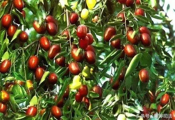 命苦它是北京最冤的一个区