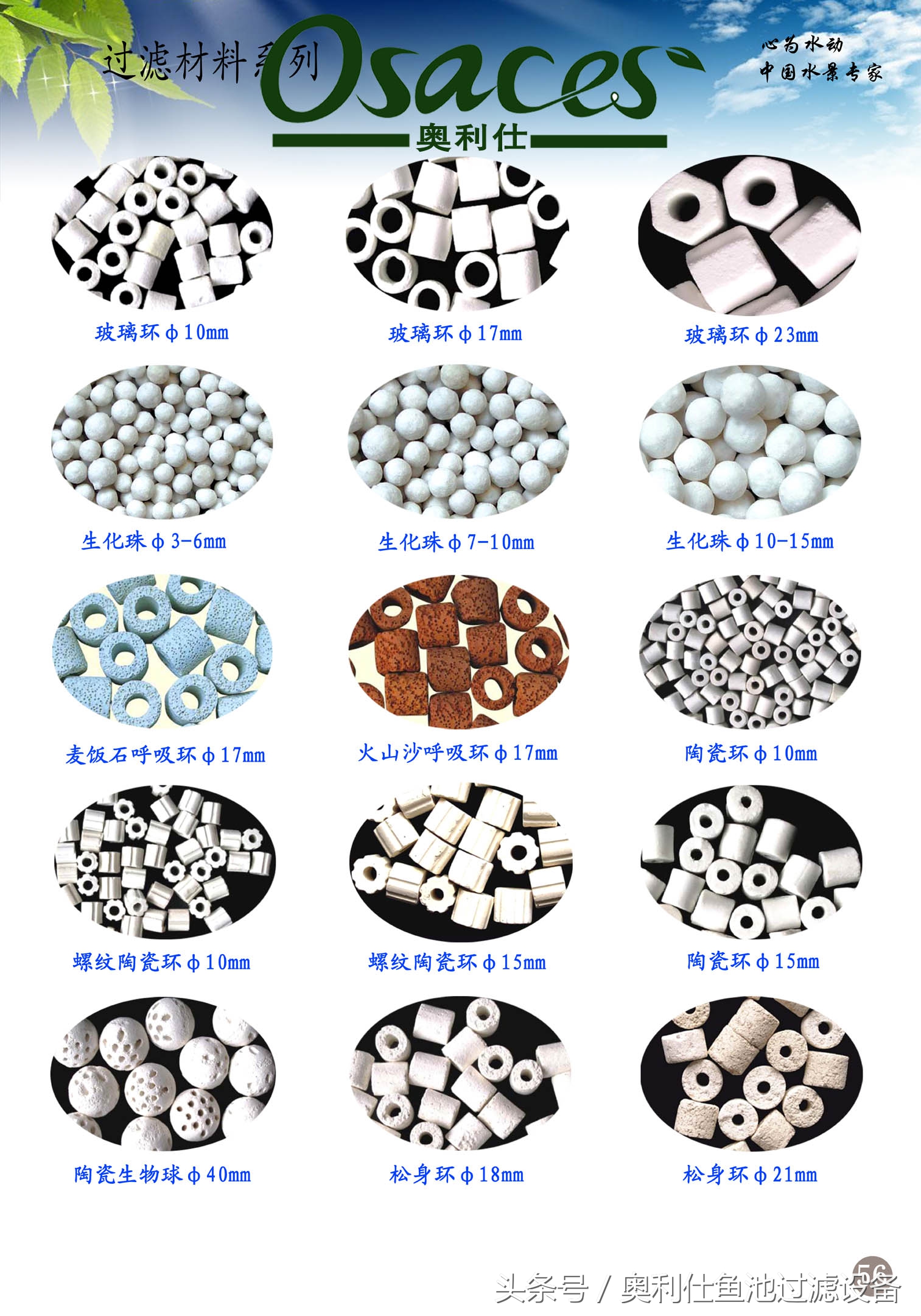 10吨小鱼池的完美养成记